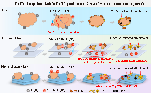 魏洪燕、陈情泽等-EST：黏土矿物对Fe(II)催化水铁矿相转化的影响及其制约机制